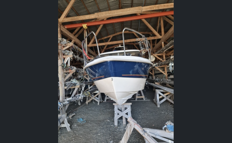 Bella Falcon 26-kuva-3